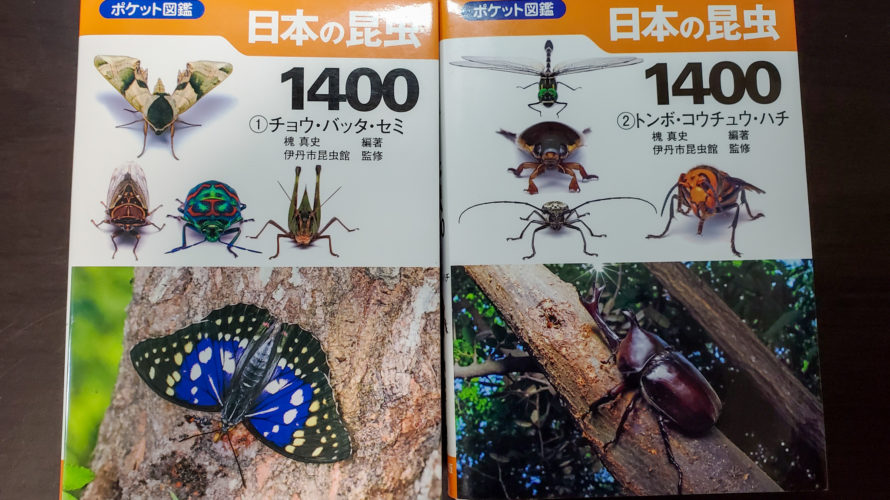 虫とり初心者へ！捕まえた虫をその場で調べるための超おすすめ図鑑「日本の昆虫1400」！