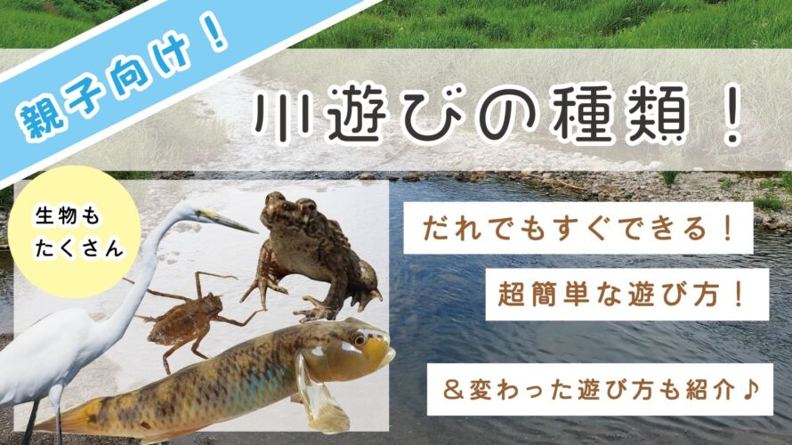 親子向け 川遊びの種類一覧 定番から一風変わった遊び方まで様々なアクティビティを大紹介 身近な自然の楽しみ方