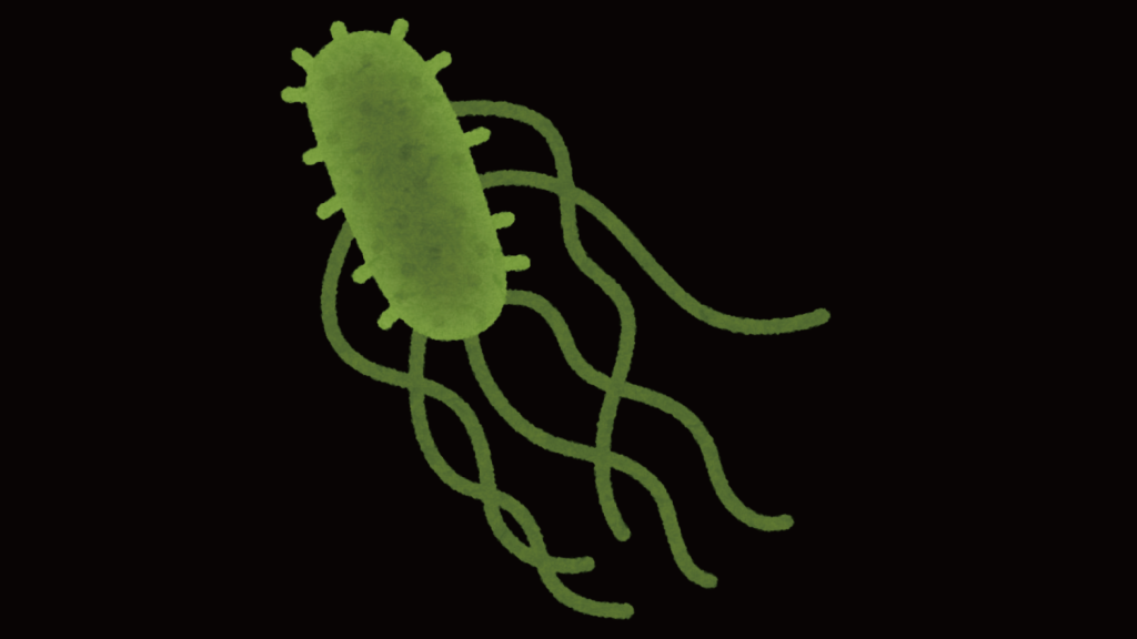 川遊びの注意点 リスクを知って親子で安全に楽しもう 身近な自然の楽しみ方