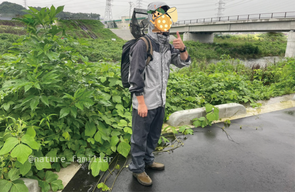 雨の日散歩はメリットたくさん 生き物探しのプロが雨の自然散策を楽しんできたよ 身近な自然の楽しみ方