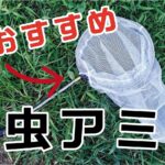 【昆虫採集】虫捕り網のおすすめはコレ！虫捕りグッズ＆持ち物紹介