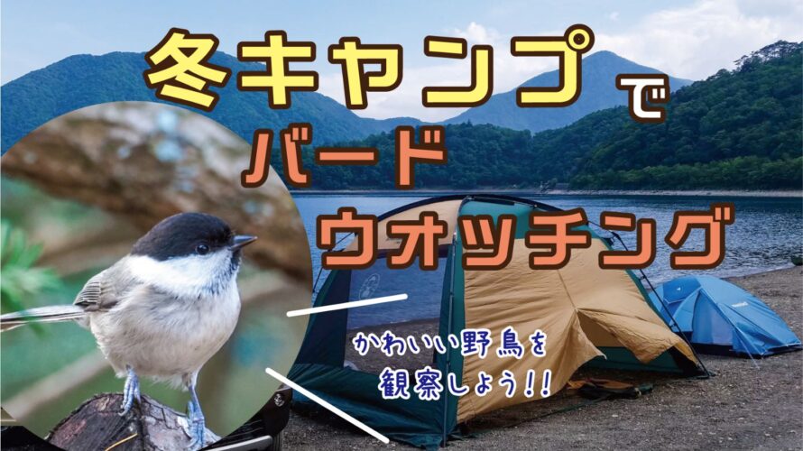 冬キャンプって何する 冬キャンバードウォッチングという楽しみ方を紹介 身近な自然の楽しみ方