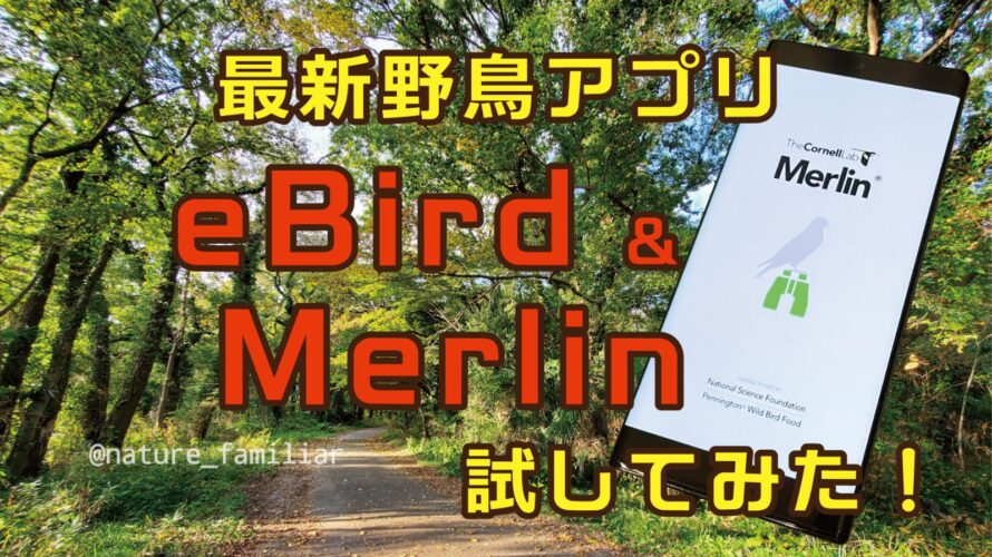 バードウォッチングアプリ「eBird」「Merlin」が超優秀！早速レビュー！
