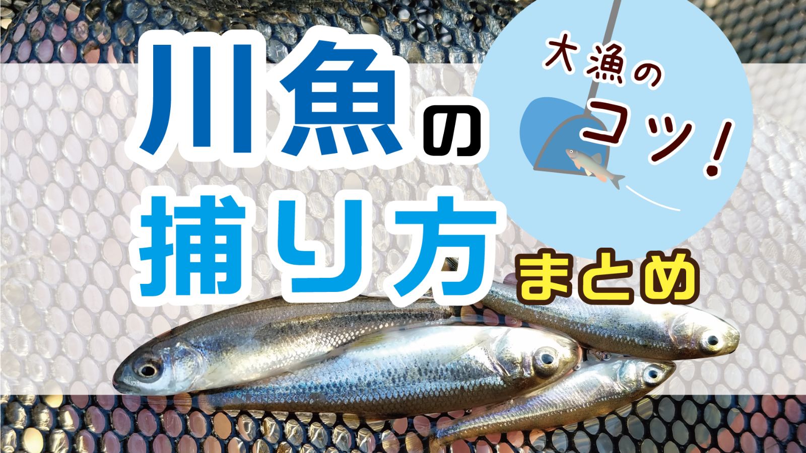 親子で川遊び 網で魚を捕まえる簡単な方法とは 身近な自然の楽しみ方