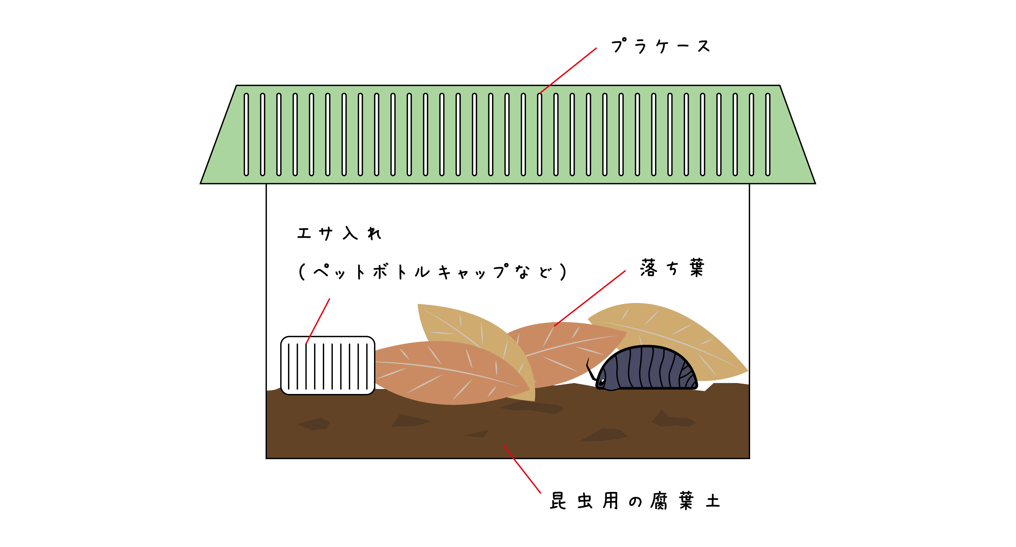 ダンゴムシの飼い方 飼育に必須のケース 餌 土などはなに 身近な自然の楽しみ方