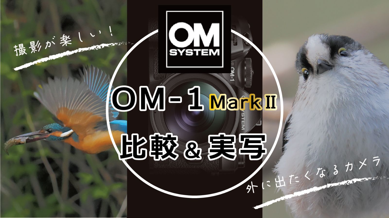 OM-1 Mark Ⅱ実写＆比較レビュー！「外に出たくなる」カメラの魅力って？
