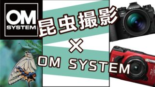 じ*こ様 カメラ、レンズまとめ　オリンポス等 OLYMPUS オリンパス/家電・カメラ・AV機器｜WonderREX-ONLINE