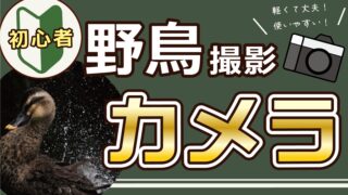 【野鳥撮影】初心者におすすめのカメラ→小さく軽く頑丈なあのカメラに決めた！