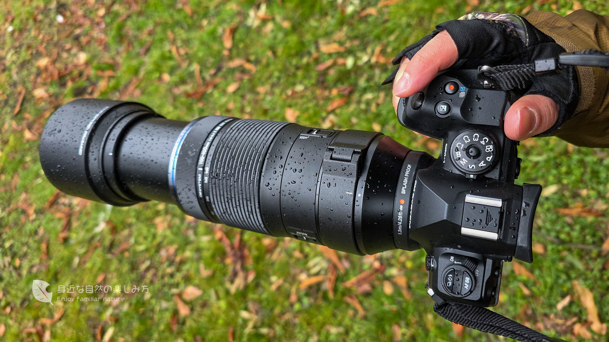 OM-1Ⅱ＋100-400mmⅡ　雨