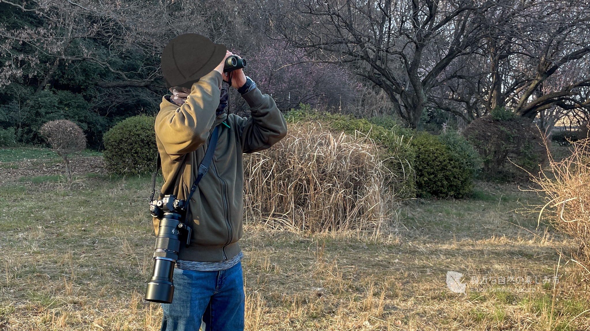 OM-1Ⅱ＋100-400mmⅡ　双眼鏡8×25WPⅡ