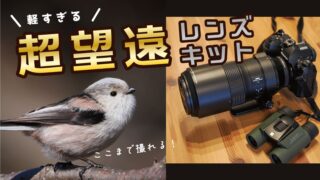 【軽すぎる超望遠】OM-1 Mark II＋100-400mmⅡで野鳥はここまで撮れる｜1ヶ月使った本音レビュー